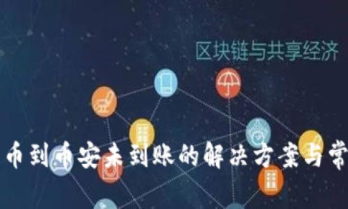 tpwallet提币到币安未到账的解决方案与常见问题解析