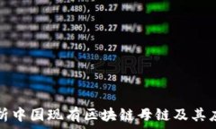  全面解析中国现有区块链