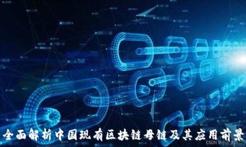 全面解析中国现有区块链母链及其应用前景