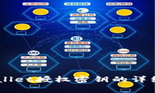 ### TPWallet授权密钥的详细解析与应用
