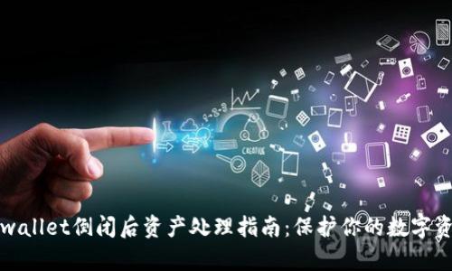 tpwallet倒闭后资产处理指南:保护你的数字资产