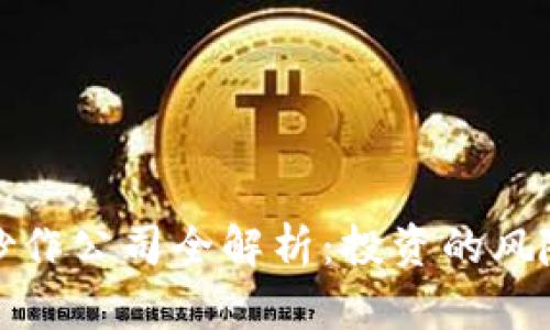 区块链炒作公司全解析:投资的风险与机遇