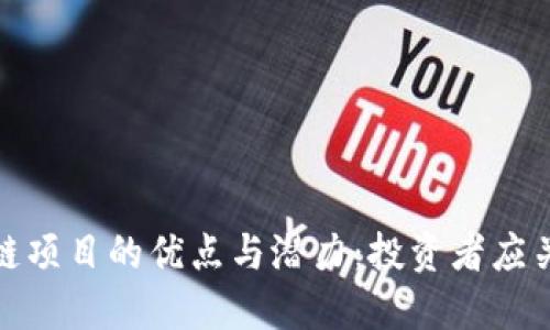 探索区块链项目的优点与潜力:投资者应关注的领域