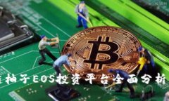 区块链柚子EOS投资平台全