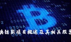 : 区块链新项目概述及其相
