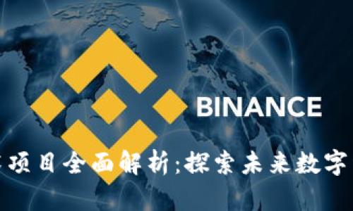 区块链技术项目全面解析：探索未来数字经济的关键