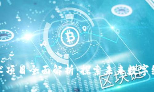 区块链技术项目全面解析：探索未来数字经济的关键