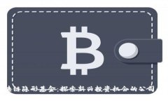 : 区块链隐形基金：探索新
