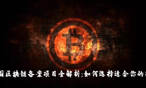 中国区块链备案项目全解析:如何选择适合你的项目
