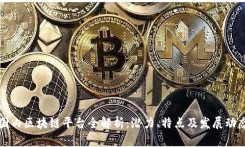 国内区块链平台全解析：潜力、特点及发展动态
