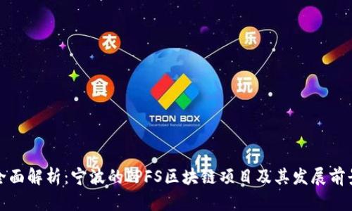 全面解析：宁波的IPFS区块链项目及其发展前景