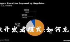 全面解析TPWallet开发者模式