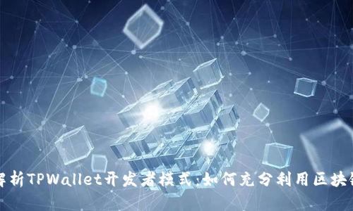 全面解析TPWallet开发者模式:如何充分利用区块链技术