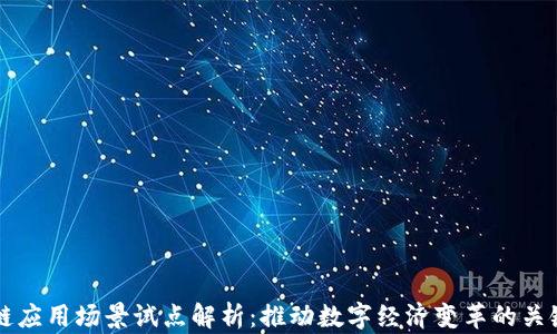 区块链应用场景试点解析:推动数字经济变革的关键技术