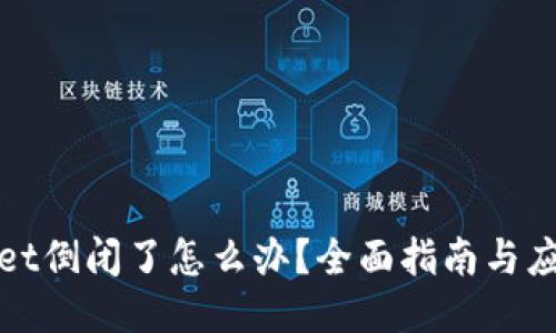 TPWallet倒闭了怎么办?全面指南与应对策略