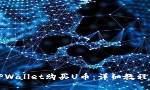 如何通过TPWallet购买U币：详细教程与实用技巧