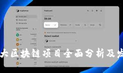 国内最大区块链项目全面分析及发展前景