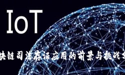区块链司法存证应用的前景与挑战分析