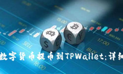 如何将善盾数字货币提币到TPWallet：详细步骤与指南