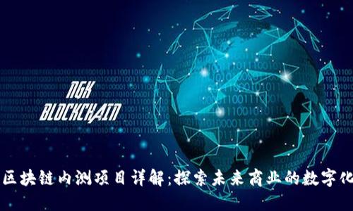 阿里区块链内测项目详解:探索未来商业的数字化转型