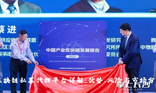 区块链私募代理平台详解:优势、风险与市场分析