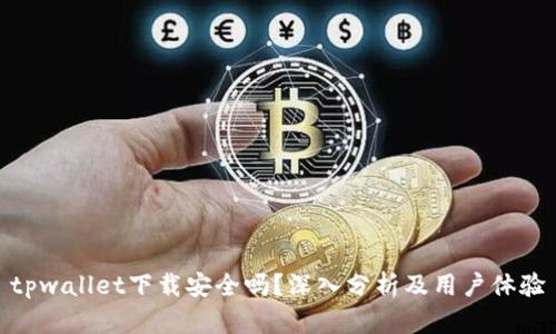 tpwallet下载安全吗?深入分析及用户体验