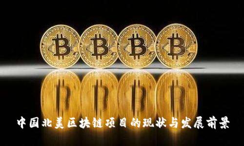 中国北美区块链项目的现状与发展前景