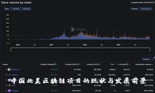 中国北美区块链项目的现状与发展前景