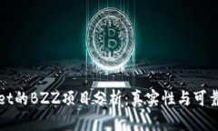 TPWallet的BZZ项目分析：真实