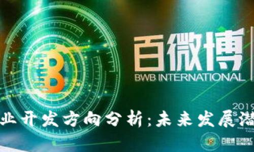 区块链行业开发方向分析:未来发展潜力与机会