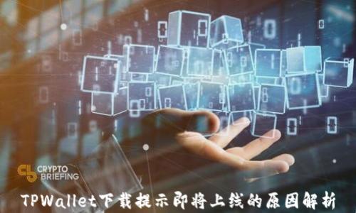 TPWallet下载提示即将上线的原因解析