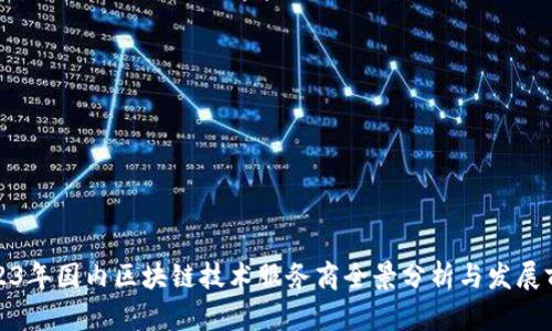 2023年国内区块链技术服务商全景分析与发展前景