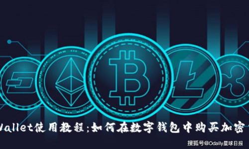 TPWallet使用教程：如何在数字钱包中购买加密货币