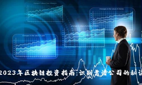 2023年区块链投资指南:识别靠谱公司的秘诀