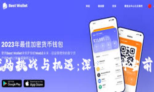 区块链时代的挑战与机遇:深入探讨当前面临的问题