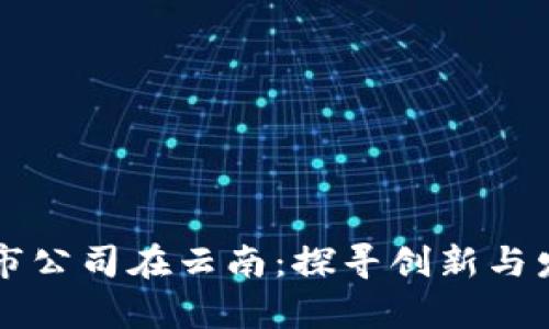 区块链上市公司在云南:探寻创新与发展的前沿