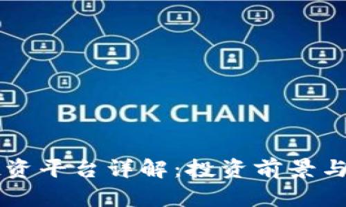 区块链投资平台详解：投资前景与选择指南
