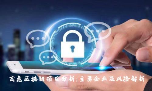 高危区块链项目分析：主要企业及风险解析