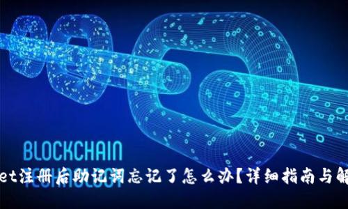 TPWallet注册后助记词忘记了怎么办?详细指南与解决方案