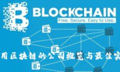 应用区块链的公司概览与