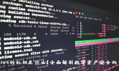 TPWallet的私钥是什么?全面解析数字资产安全的重要性