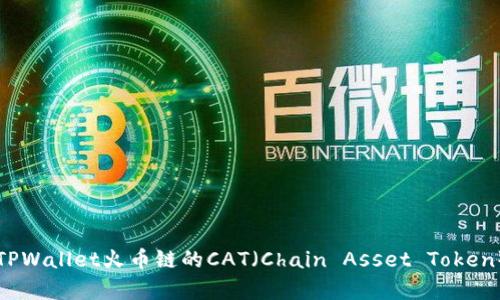 全面解析TPWallet火币链的CAT(Chain Asset Token)及其应用