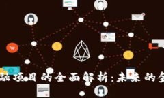 区块链与金融项目的全面