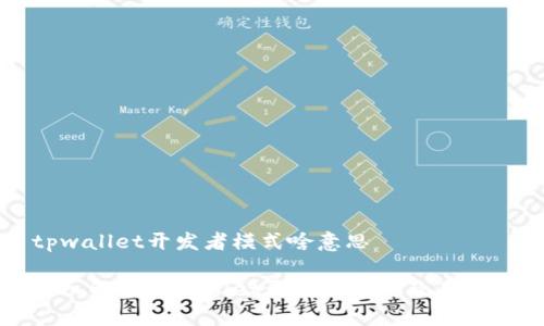 tpwallet开发者模式啥意思
深入解析TPWallet开发者模式及其应用