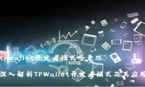 tpwallet开发者模式啥意思
深入解析TPWallet开发者模式及其应用