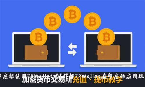 印度能使用TPWallet吗?详解TPWallet在印度的应用现状
