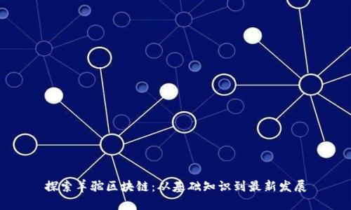 探索羊驼区块链:从基础知识到最新发展