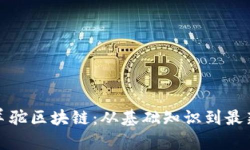 探索羊驼区块链:从基础知识到最新发展