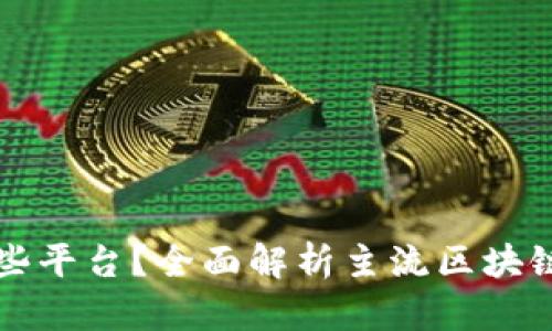 区块链支付币有哪些平台?全面解析主流区块链支付平台及其优势