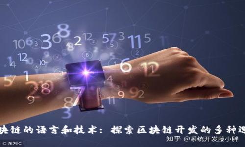 区块链的语言和技术: 探索区块链开发的多种选择